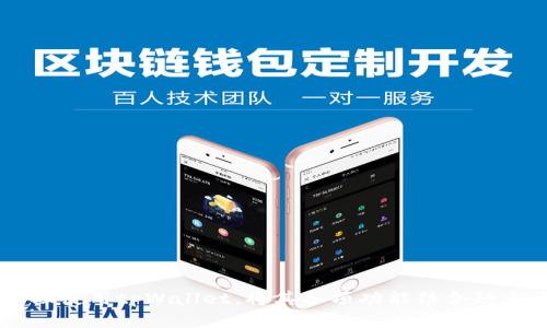   tpWallet跨链转币安全吗？全面分析其安全性和使用体验 / 
 guanjianci tpWallet, 跨链转币, 安全性, 数字资产管理 /guanjianci 

### 引言
随着区块链技术的发展，越来越多的用户开始使用数字资产进行投资和交易。在这个过程中，跨链转币作为一种重要的操作，成为了用户频繁进行的活动之一。而在这个过程中，安全性则是用户最为关心的问题之一。tpWallet作为一款新兴的数字资产管理工具，提供了跨链转币的功能。然而，tpWallet的安全性如何，是否可以保证用户的资产安全，成为了广大用户所关注的焦点。本文将详细分析tpWallet的安全性，并探讨如何安全地进行跨链转币操作。

### tpWallet的背景
tpWallet是一款专注于区块链资产管理的钱包，支持多种主流数字货币的存储与交易。作为一款新型的数字钱包，tpWallet注重用户体验和跨链功能，使用方便，能够在多个区块链之间进行转账和交换。tpWallet还提供了丰富的安全性选项，包括多重签名、冷存储、身份验证等功能，致力于保障用户资产的安全。

### tpWallet的安全机制
tpWallet的安全机制是其能够吸引用户的重要原因之一。以下是tpWallet所采用的一些安全措施：
1. strong多重签名技术/strong
tpWallet支持多重签名功能，用户可以选择设置多个私钥，要求多个签名才能完成转账。这意味着即使一个私钥被窃取，攻击者也无法单独完成交易，从而提升了安全性。

2. strong冷存储/strong
tpWallet将大部分用户的数字资产存储在离线环境中，避免了在线环境下的黑客攻击。这种冷存储技术能有效保护用户资产，降低风险。

3. strong强大的加密算法/strong
tpWallet使用行业标准的加密算法对用户数据进行加密，确保用户信息的安全。在数据传输过程中，tpWallet采用TLS协议保障通信的安全性。

4. strong定期安全审计/strong
tpWallet会定期进行安全审计，发现并修复潜在的安全漏洞，从而提升整体的安全性。这种持续性维护能够有效预防安全隐患，提高用户的安全感。

5. strong用户教育/strong
tpWallet还提供安全教育，指导用户如何安全使用钱包，避免诈骗和钓鱼攻击。这种教育不仅提高了用户的安全意识，也减少了因疏忽而导致的损失。

### 跨链转币的风险
尽管tpWallet提供了多种安全措施，但跨链转币本身仍然存在一定的风险。以下是一些主要的风险：
1. strong交易确认时间/strong
在进行跨链转币时，交易确认时间可能会受到网络拥堵等因素的影响，导致交易延迟。这种延迟可能会给用户带来不便，尤其是在急需用币的情况下。

2. strong价格波动/strong
在交易过程中，数字货币的价格波动可能会影响交易结果。如果用户在价格波动较大的情况下进行转账，可能会面临资产贬值的风险。

3. strong技术风险/strong
跨链技术并不成熟，可能存在未被发现的漏洞，用户在使用tpWallet进行跨链转币时可能会面临技术安全隐患，这些隐患可能导致资产损失。

4. strong钓鱼网站和诈骗/strong
用户在操作过程中可能会遇到钓鱼网站，攻击者通过伪装成tpWallet官方网站，诱骗用户输入私钥或进行转账，造成用户资产遭受损失。

### 如何安全使用tpWallet进行跨链转币
为了最大限度地降低在tpWallet进行跨链转币的风险，用户可以采取一系列措施来保障自身的资产安全：
1. strong确保官方网站访问/strong
用户在使用tpWallet时，一定要确保访问的是官方网站，切勿通过其他链接或社交媒体进入，以避免钓鱼攻击。

2. strong启用二次验证功能/strong
为保证安全，建议用户启用tpWallet的双重身份验证功能。这种身份验证增加了一道安全屏障，防止账户被无授权访问。

3. strong及时更新软件/strong
定期检查并更新tpWallet的应用程序，以确保使用最新的安全补丁和功能，这样可以减少已知漏洞带来的风险。

4. strong小额试用/strong
在进行大额跨链转币之前，可以先进行一次小额的试验，检验转账功能和确认时间。这一过程能够帮助用户更好地理解跨链转币的操作流程和风险。

### 可能相关问题
1. **tpWallet支持哪些数字货币？**
tpWallet支持多种主流数字货币，例如比特币、以太坊、瑞波币等，用户可以方便地进行存储和转账。同时，tpWallet还在不断地扩展对新兴数字货币的支持，以满足市场的需求。

2. **如何选择合适的跨链转币时机？**
选择合适的跨链转币时机十分重要，用户需要关注市场趋势、价格波动以及网络拥堵情况，以确定最佳转账时机。

3. **什么是跨链技术，它如何运作？**
跨链技术是一种连接不同区块链的技术，它允许在不同区块链之间进行资产的转移和互动。跨链技术一般基于智能合约、跨链桥等技术实现，能有效促进不同区块链的交互。

4. **数字资产的安全性与tpWallet的关系？**
数字资产的安全性与用户选择的钱包密切相关，tpWallet的多重安全机制和用户的安全意识都是保障资产安全的重要因素。

5. **关于牛市和熊市时跨链转币的策略？**
在牛市中，用户可能更愿意进行频繁的交易和转账操作，但需要注意价格波动的风险。在熊市中，用户可能需要谨慎操作，避免大额转账导致资产贬值。

6. **tpWallet的客户服务水平如何？**
tpWallet提供在线客服和社区支持，用户可以通过这些渠道获得帮助和解答。对大多数用户来说，及时有效的客服支持能够有效解决使用过程中的问题。

### 结语
tpWallet作为一款具有多重安全措施的数字资产管理工具，为用户提供了便利的跨链转币功能。在进行跨链转币时，用户需要了解自身资产的安全性、市场风险以及操作的规范。在确保基础安全的情况下，合理使用tpWallet，将其各项功能结合起来，可以更好地实现数字资产的管理与增值。总之，用户在使用tpWallet进行跨链转币时，安全性虽有保障，仍需保持谨慎。