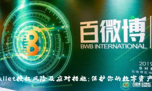 tpWallet授权风险及应对措施：保护你的数字资产安全