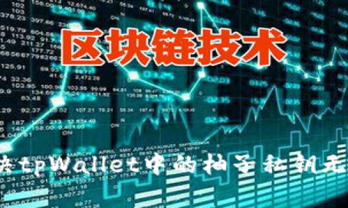 如何解决tpWallet中的柚子私钥无效问题？