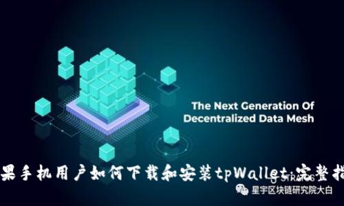 苹果手机用户如何下载和安装tpWallet：完整指南