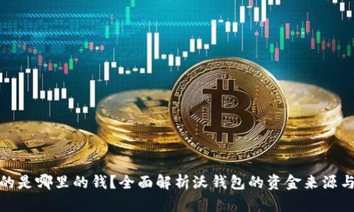 沃钱包用的是哪里的钱？全面解析沃钱包的资金来源与运作机制