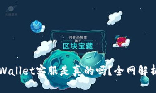 电报上的tpWallet客服是真的吗？全网解析与注意事项