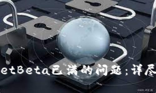 如何解决tpWalletBeta已满的问题：详尽指南与解决方案