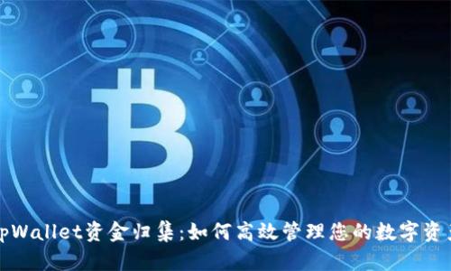 tpWallet资金归集：如何高效管理您的数字资产