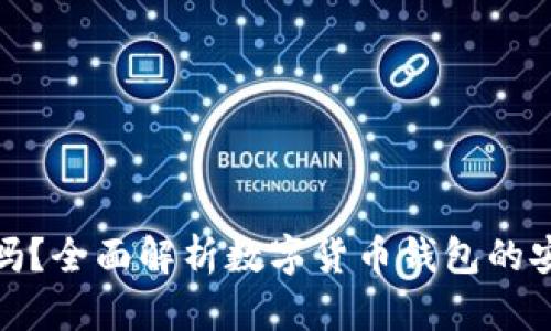 TP观察钱包准吗？全面解析数字货币钱包的安全性与功能性