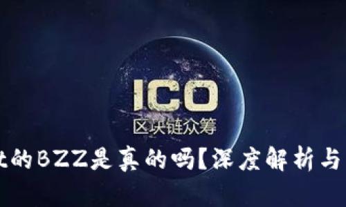 tpWallet的BZZ是真的吗？深度解析与用户指南