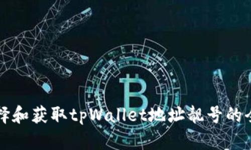 如何选择和获取tpWallet地址靓号的全面指南