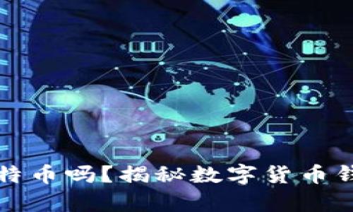 tpWallet会盗取比特币吗？揭秘数字货币钱包的安全性与风险