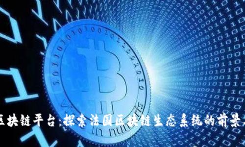 法国区块链平台：探索法国区块链生态系统的前景与发展