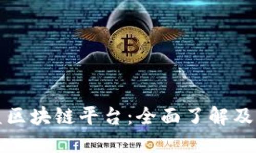 运动联盟区块链平台：全面了解及下载指南