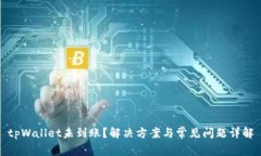 tpWallet未到账？解决方案与