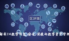 全面解析IM数字钱包：安全