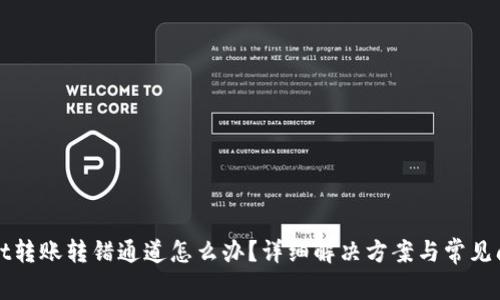 tpWallet转账转错通道怎么办？详细解决方案与常见问题解析