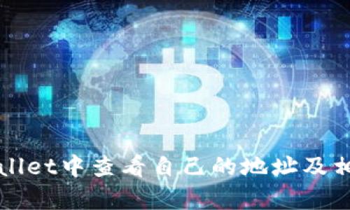 如何在tpWallet中查看自己的地址及相关操作指南