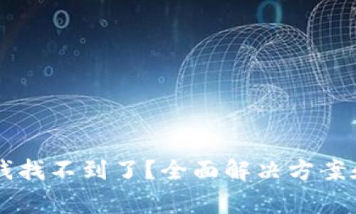 tpWallet转错钱找不到了？全面解决方案和常见问题解析