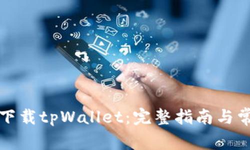 如何在国内下载tpWallet：完整指南与常见问题解答