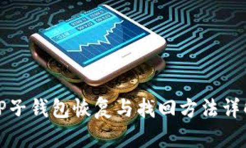 TP子钱包恢复与找回方法详解