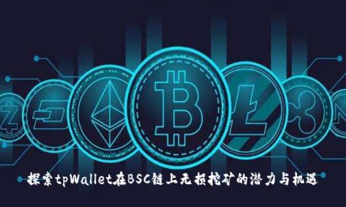 探索tpWallet在BSC链上无损挖矿的潜力与机遇
