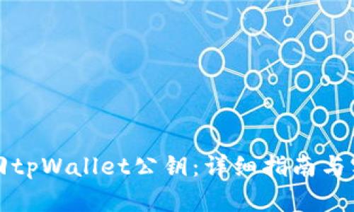 如何找回tpWallet公钥：详细指南与实用技巧