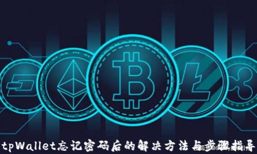 
tpWallet忘记密码后的解决方法与步骤指导