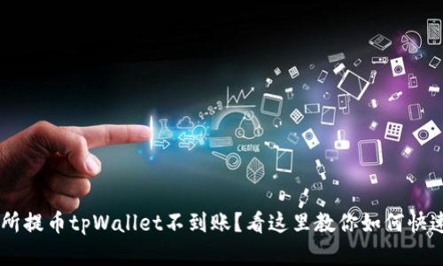 交易所提币tpWallet不到账？看这里教你如何快速解决