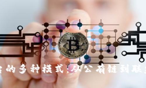 探索区块链平台的多种模式：从公有链到联盟链的全面解析