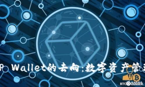 探寻火币TP Wallet的去向：数字资产管理的新时代