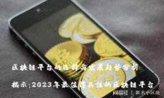 区块链平台的选择与发展