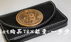如何通过tpWallet购买TRX能量