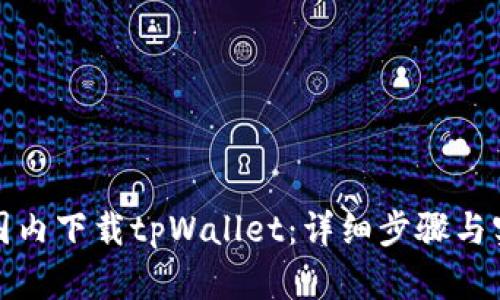 如何在国内下载tpWallet：详细步骤与实用技巧