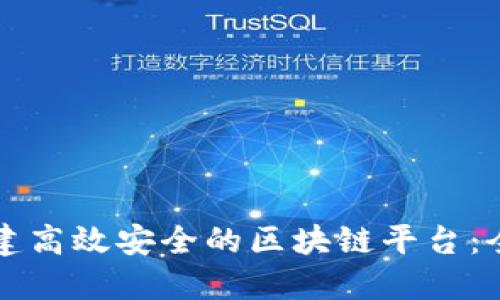 如何搭建高效安全的区块链平台：全面指南