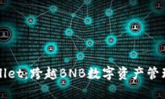 探索tpWallet：跨越BNB数字资