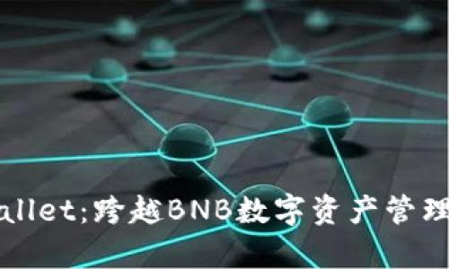 探索tpWallet：跨越BNB数字资产管理的新篇章