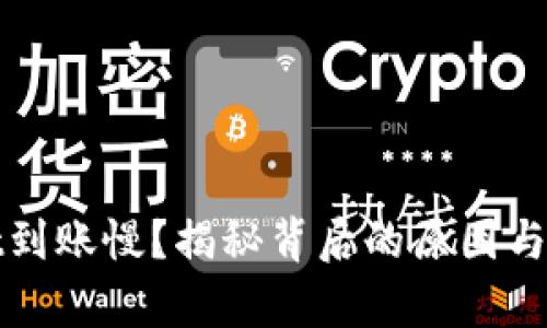 tpWallet到账慢？揭秘背后的原因与解决方案