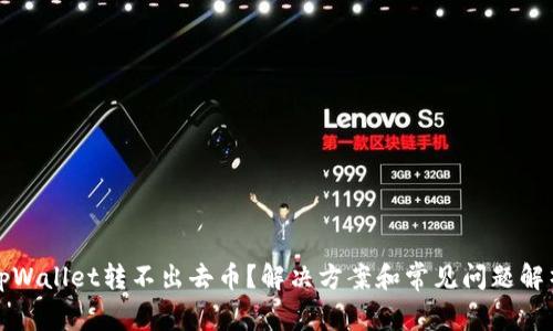 tpWallet转不出去币？解决方案和常见问题解析