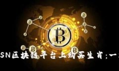 如何在BSN区块链平台上购