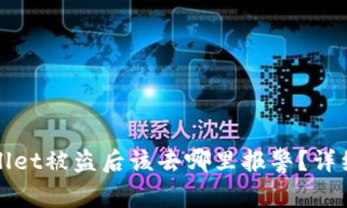 tpWallet被盗后该去哪里报警？详细指南