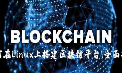 如何在Linux上搭建区块链平台：全面指南
