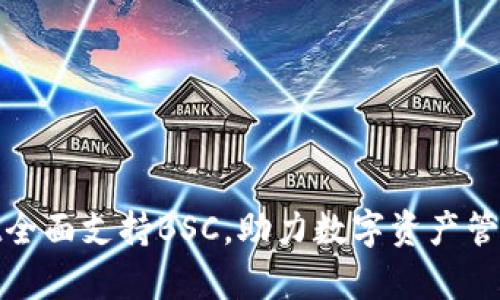 tpWallet全面支持BSC，助力数字资产管理新体验