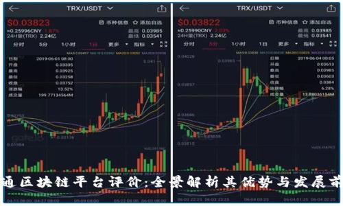 大通区块链平台评价：全景解析其优势与发展前景