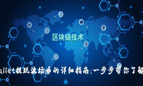 tpWallet提现波场币的详细指南：一步步带你了解流程