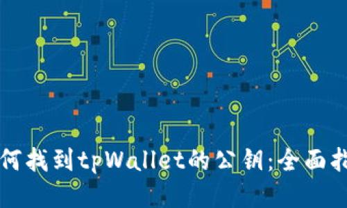 如何找到tpWallet的公钥：全面指南
