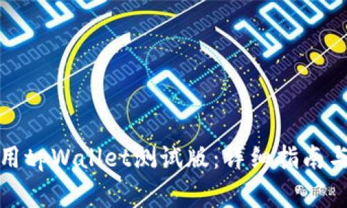 如何下载和使用tpWallet测试版：详细指南与常见问题解答