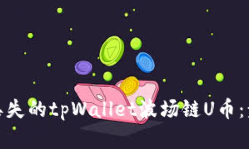 如何找回丢失的tpWallet波场链U币：步骤与建议