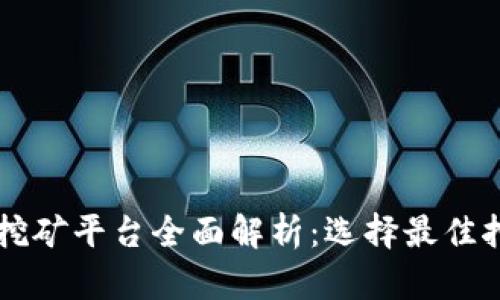 区块链挖矿平台全面解析：选择最佳挖矿方式