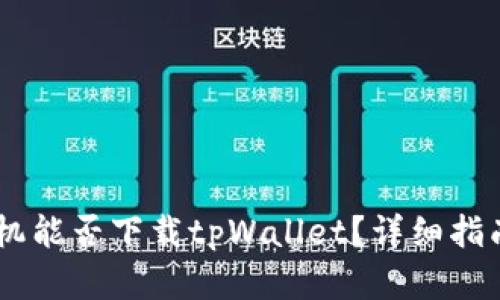 biati苹果手机能否下载tpWallet？详细指南和使用技巧