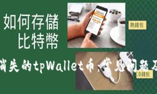 如何恢复消失的tpWallet币：常见问题及解决方案