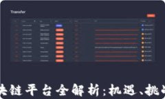 厦门外汇区块链平台全解