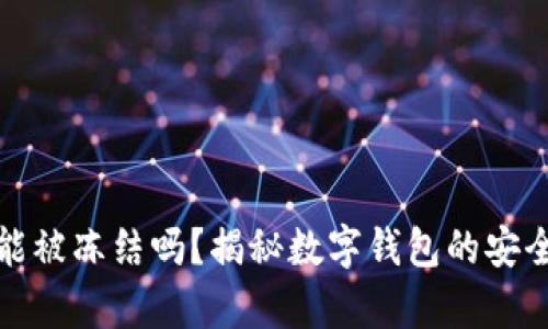 tpWallet能被冻结吗？揭秘数字钱包的安全性与风险