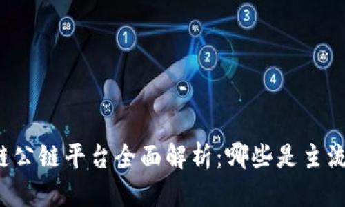 区块链公链平台全面解析：哪些是主流选择？